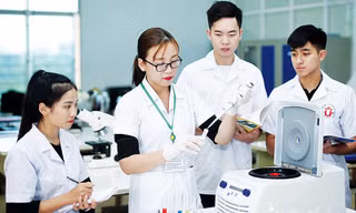 Chấp nhận 'độ trễ' để tạo động lực cho nghiên cứu bền vững