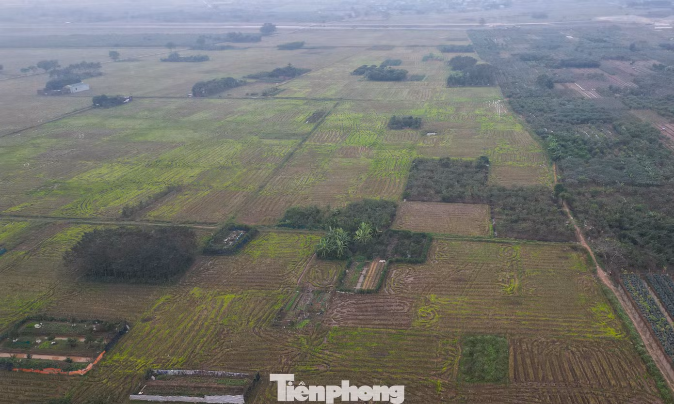 tp-ngoai-thanh-hndji-0879.jpg