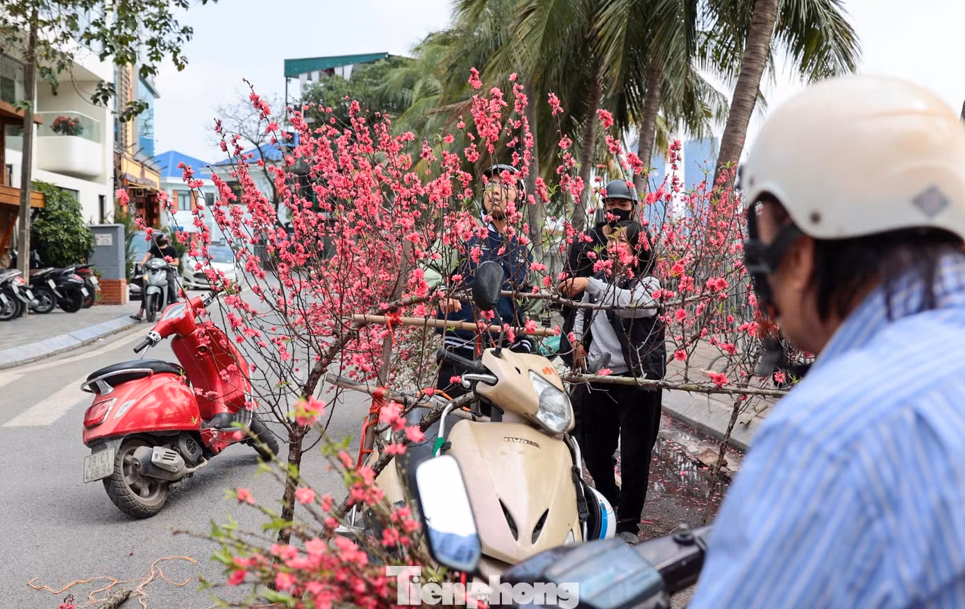tp-cho-hoa00012.jpg