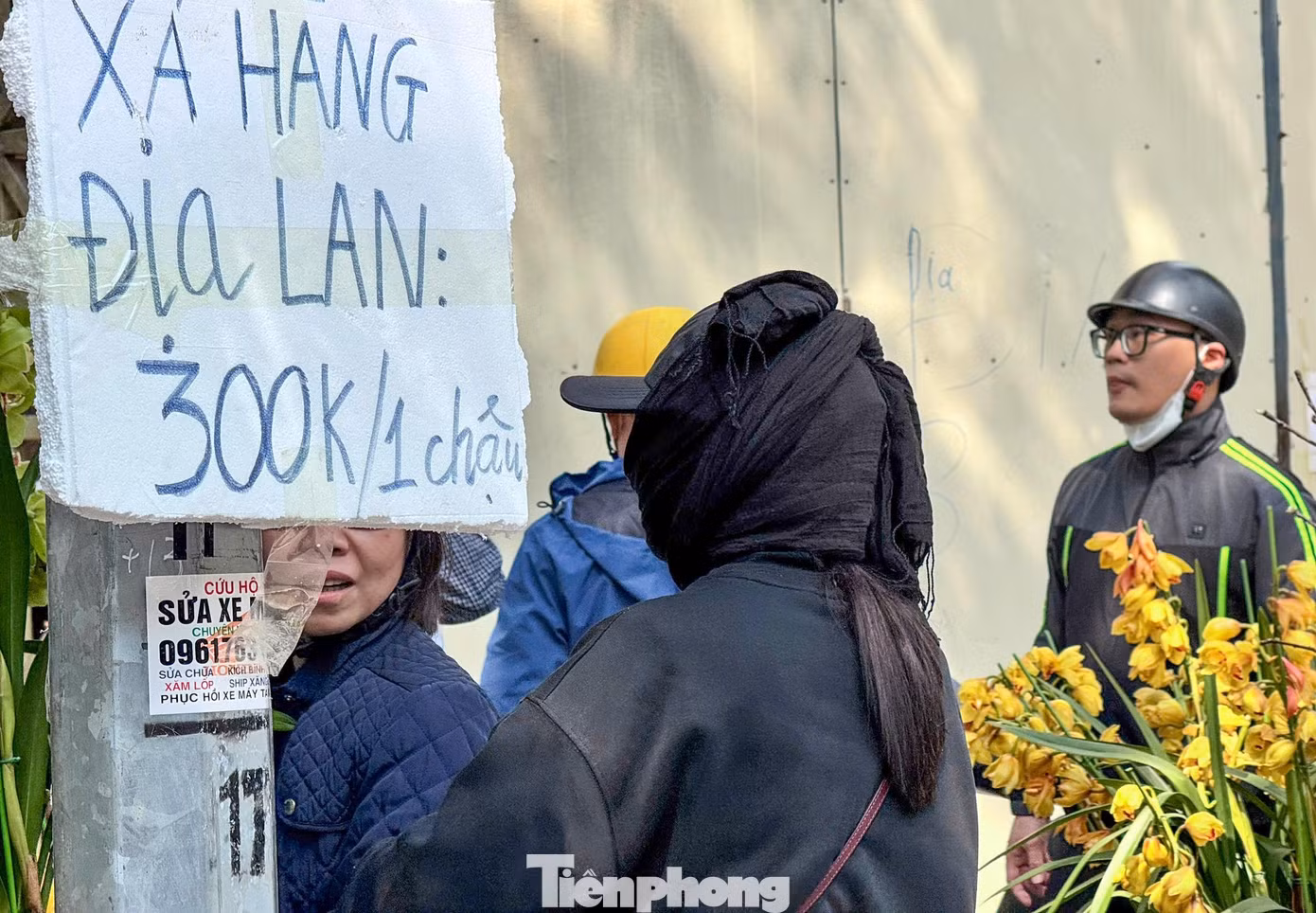 tp-cho-hoa00008.jpg