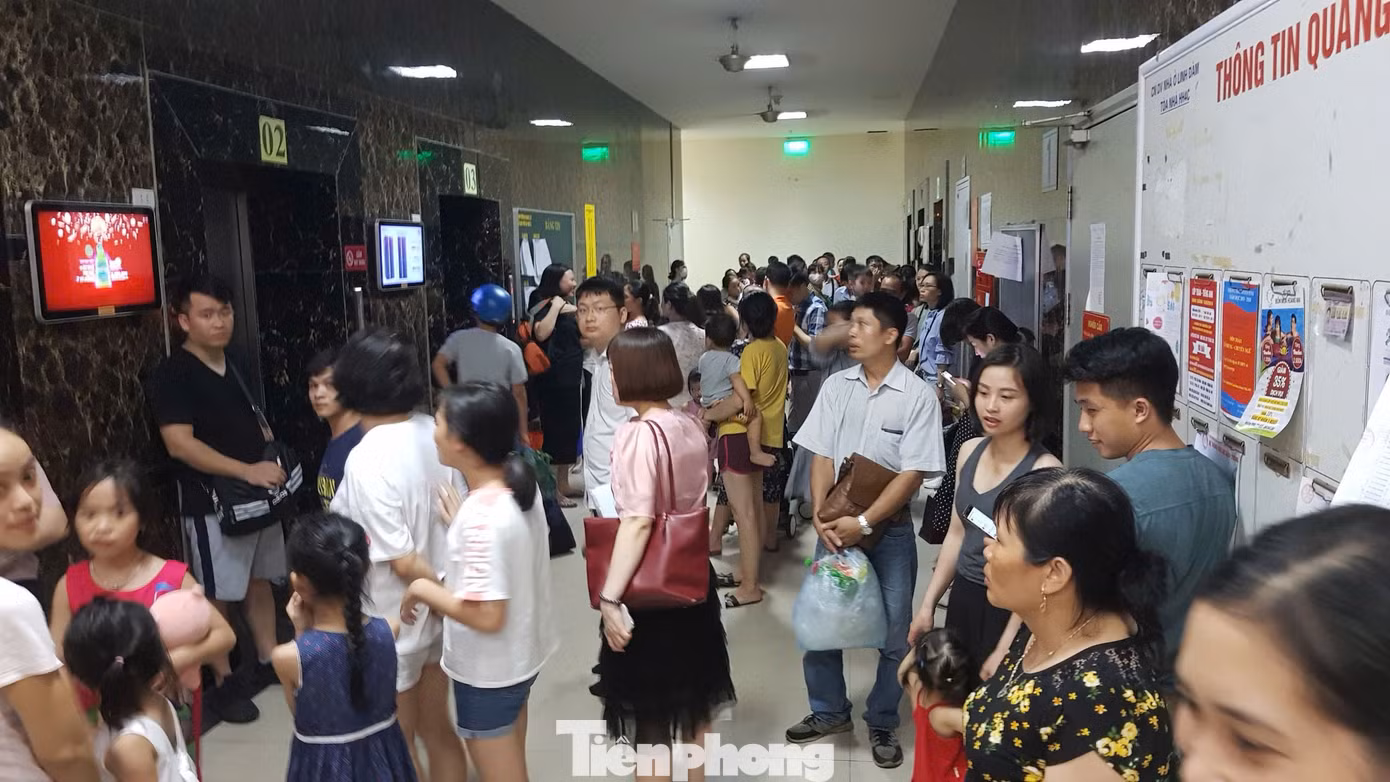 tp-hh-linh-dam-30.jpg