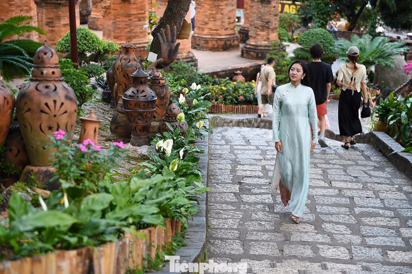 tp-ha-truc-linhddt-9158.jpg