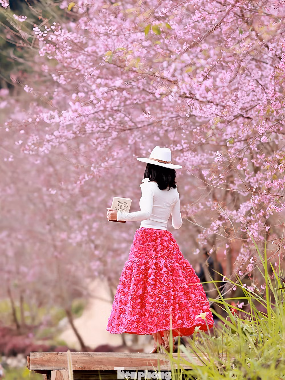 tp-mai-anh-dao-moc-chauimg-220621-0.png