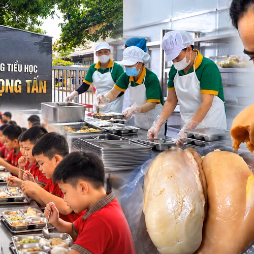 Tôm, thịt gà 'có mùi bất thường': Phụ huynh lo chất lượng bữa ăn bán trú