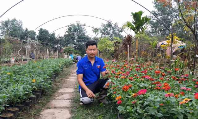 Nhà nông trẻ là nguồn cảm hứng cho thanh niên phát triển kinh tế trên mảnh đất quê hương