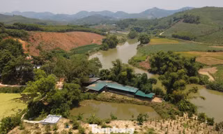 Bẫy bao tiêu sau những lời quảng cáo nuôi con đặc sản