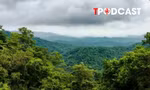 NÓNG 16/8: Du khách mất tích bí ẩn trong rừng ở Ninh Bình
