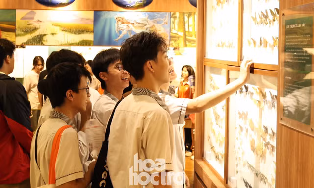Đi Ngày hội tuyển sinh Khoa học và Công nghệ, khám phá miễn phí Bảo tàng Thiên nhiên