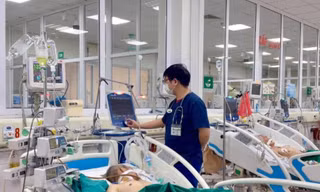 Ảnh minh họa: Internet