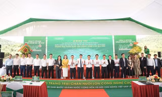 BAF triển khai trang trại chăn nuôi lợn công nghệ cao 2.000 tỷ đồng tại Quảng Trị
