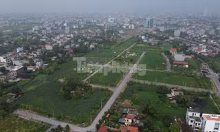 Kết quả xử lý 783 dự án chậm triển khai