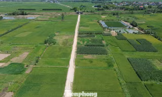 Hà Nội: Cử tri kiến nghị 'nới' quy định về tách thửa 