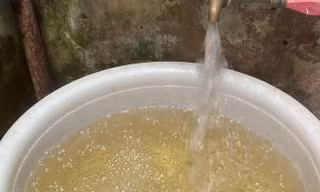 Làm rõ việc hàng vạn người dân Hà Nội phải dùng nước cặn bẩn, vàng đục