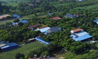Loạt dự án tại Thái Nguyên xin chấm dứt hoạt động