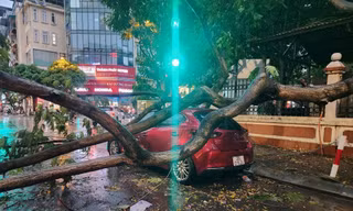 Chủ tịch Hà Nội yêu cầu triển khai ứng phó khẩn cấp với bão số 3