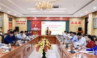 Giám đốc một công ty ở Thái Nguyên bị khai trừ Đảng