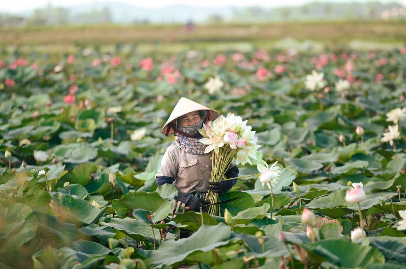 anh4.jpg