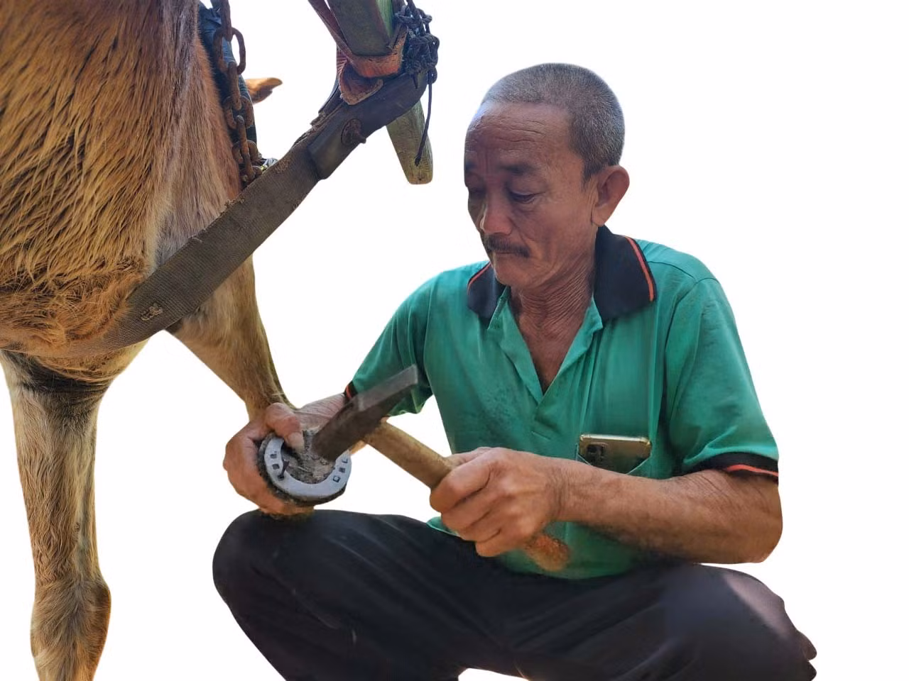 anh-1-ong-pham-chi-binh-dong-mong-ngua-photoroom.jpg