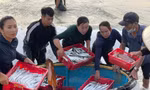 Chợ cá Nhân Trạch: Khi bình minh họp chợ bên sóng