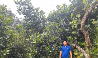 Chàng bí thư đoàn xã gây dựng mô hình VAC, lan tỏa tinh thần lập thân, lập nghiệp trong thanh niên vùng biên