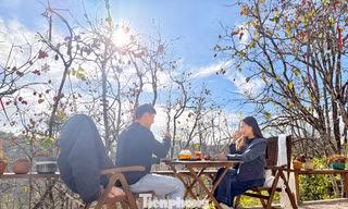 Du khách nô nức check-in giữa vườn hồng chất chill Đà Lạt