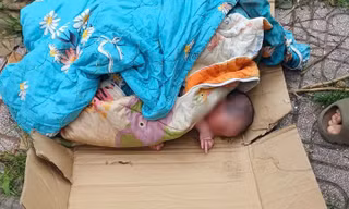 Bé gái bị bỏ rơi trong thùng giấy ven đường.