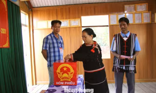 Nhiều lãnh đạo chủ chốt tỉnh Lâm Đồng, Khánh Hòa trúng cử đại biểu Hội đồng nhân dân