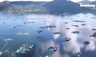 Nhân lực chất lượng cao mở lối để Khánh Hoà bứt phá