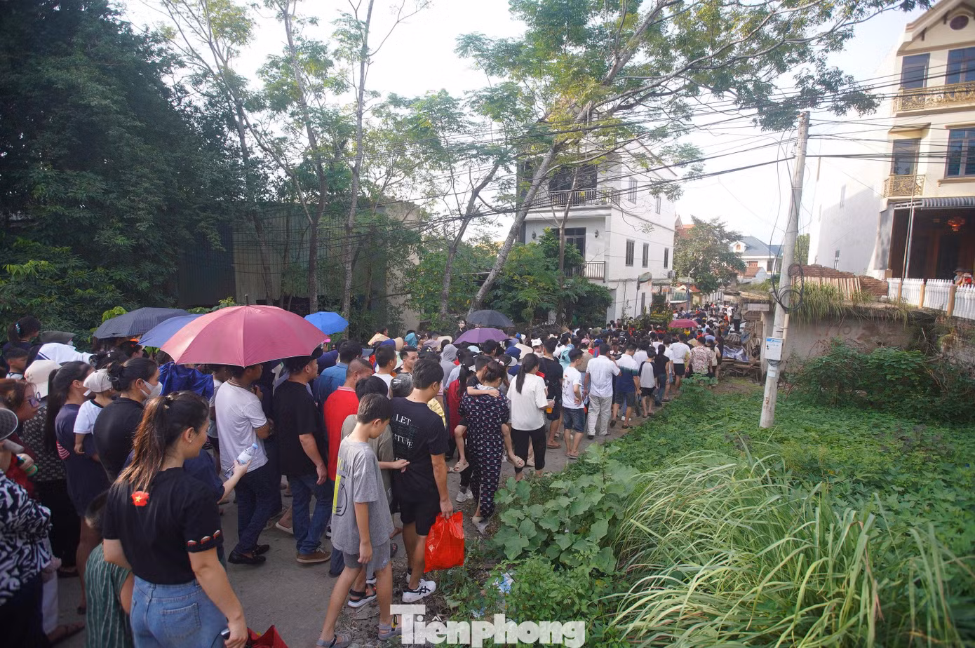tp-hoitrungthu54.jpg
