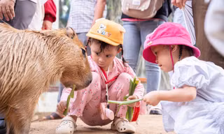 Ấm áp Tết Thiếu nhi