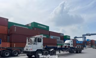1.200 container hàng hóa ùn ứ tại cảng Cát Lái