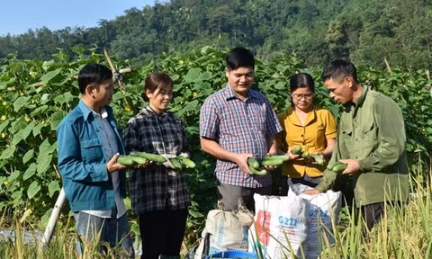 Sắp xếp lại hệ thống khuyến nông cả nước trước 30/10