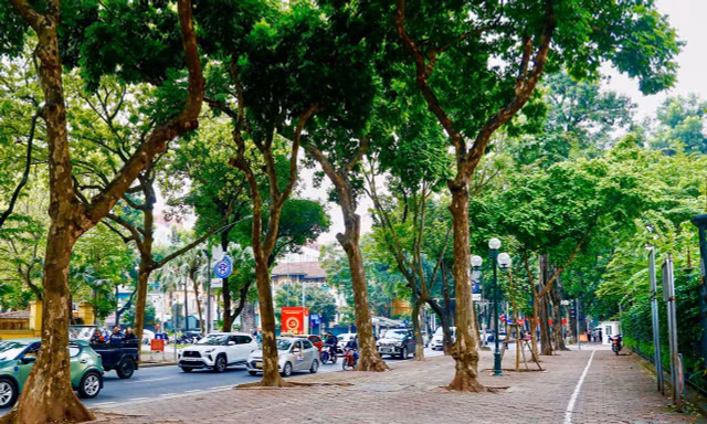 Cảnh lạ trên con đường lãng mạn đông ‘nàng thơ’ nhất Hà Nội