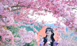 Lễ hội hoa Tớ Dày, mùa xuân của người H’Mông đang đến gần ở Mù Cang Chải