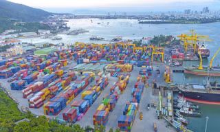 Lợi nhuận doanh nghiệp cảng biển: Kẻ thắng lớn, người ngậm ngùi