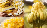 Bên cạnh những loại mứt truyền thống, Tết Canh Tý không thiếu các món mứt lạ 