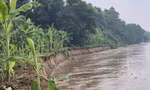 Bờ sông Thao sạt lở nghiêm trọng
