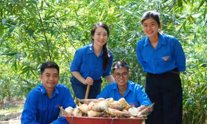 Công đoạn đóng gói măng trước khi xuất bán