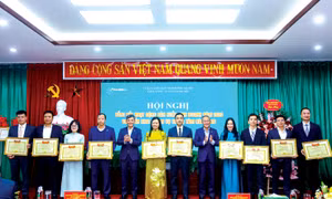 Xe buýt vận chuyển trên 240 triệu khách