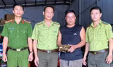 Rùa núi vàng 2kg bò vào vườn nhà dân
