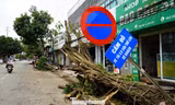 Ngổn ngang sau bão số 5, Hà Tĩnh tiếp tục căng mình ứng phó thiên tai 