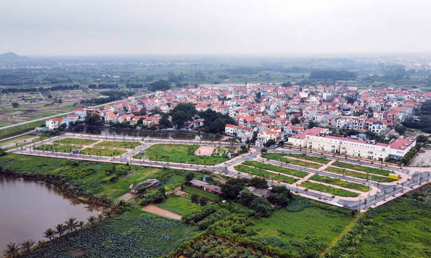 dau-gia-dat-bo-hoang16.jpg