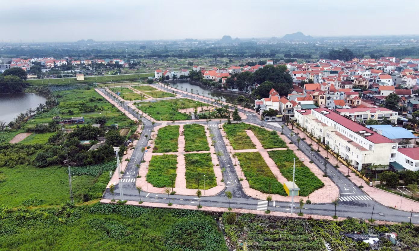 dau-gia-dat-bo-hoang17.jpg