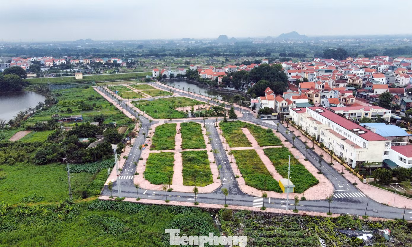 tp-dau-gia-dat-bo-hoang17.jpg