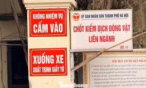 Vụ tiêu thụ gần 300 tấn lợn bệnh ở Hà Nội: Thu giữ cuốn sổ ghi chép việc ăn chia tiền 'làm luật' 