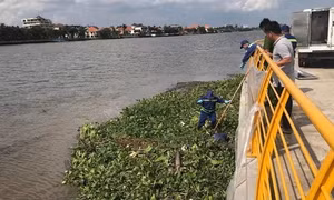 Phát hiện thi thể trôi sông Sài Gòn tại cảng Tân Thuận
