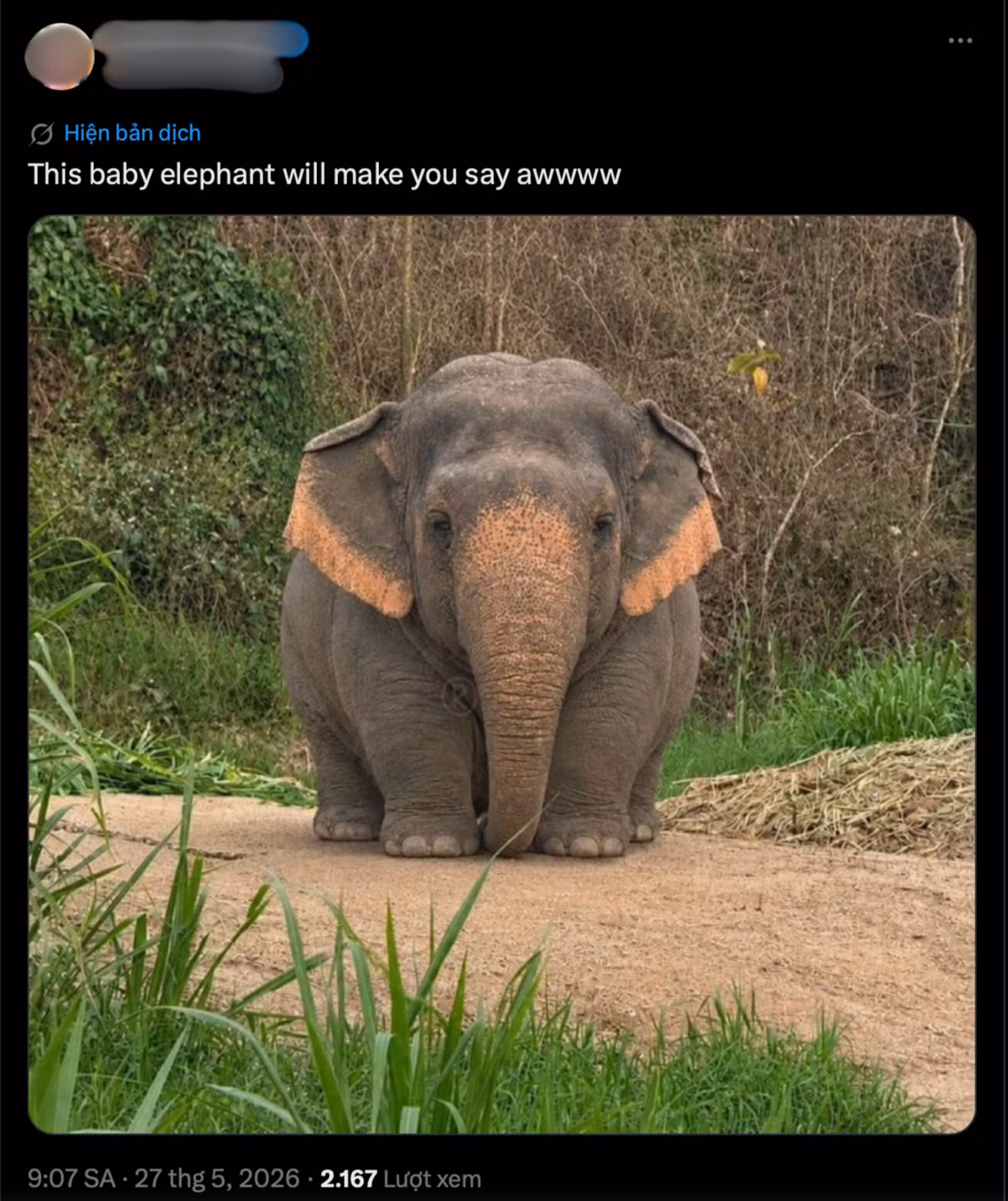 65408bbd-eab0-4ac9-82f7-0dcd8afb71d4.png