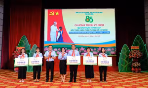 Nhiều địa phương sôi nổi kỷ niệm 85 năm Ngày thành lập Đội TNTP Hồ Chí Minh