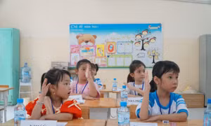 TP.HCM: Những lưu ý trước thềm đăng ký tuyển sinh đầu cấp năm học 2026-2027