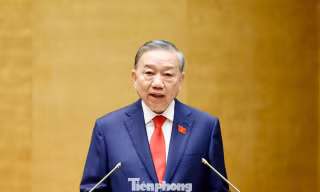 Tổng Bí thư, Chủ tịch nước Tô Lâm ký ban hành quy định mới về thi hành điều lệ Đảng